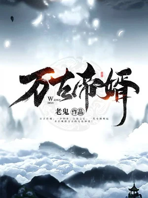 万古帝婿无弹窗免费看