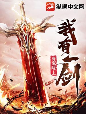叶观纳兰迦整本免费